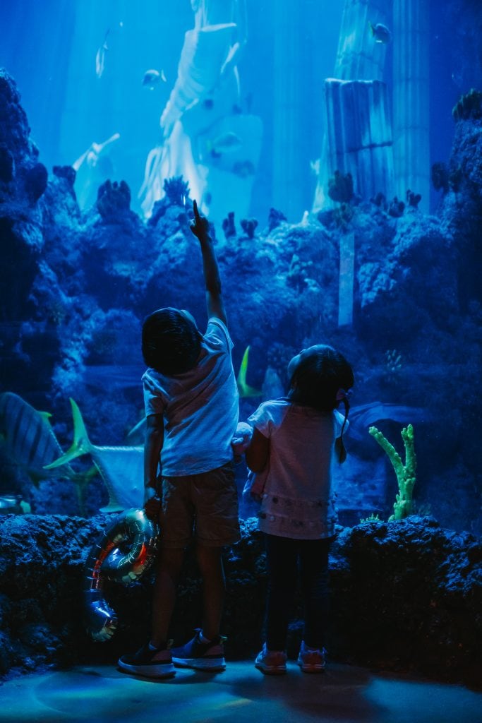 Two children stand in front of a large aquarium, with one child pointing towards the fish while holding a balloon, and the other child looking up.