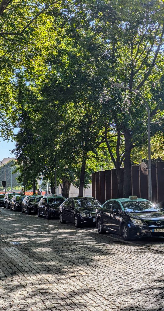 A line of black taxis parked on a cobblestone street shaded by tall green trees.