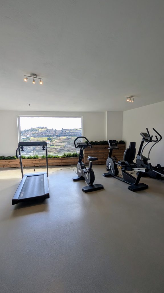 A minimalist gym with a treadmill, two exercise bikes, and an elliptical machine. A large window reveals a scenic view of hills and greenery outside.