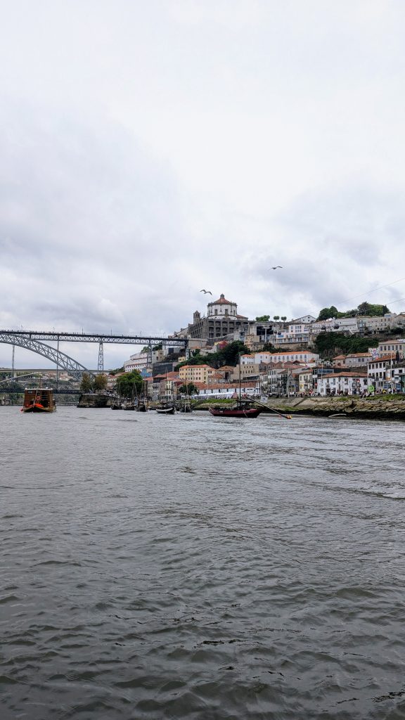 Riverside view of Porto, Portugal, showing the Dom Luís I Bridge, historic buildings on a hill, and boats on the Douro River—perfect scenery for a Porto river cruise under a cloudy sky.