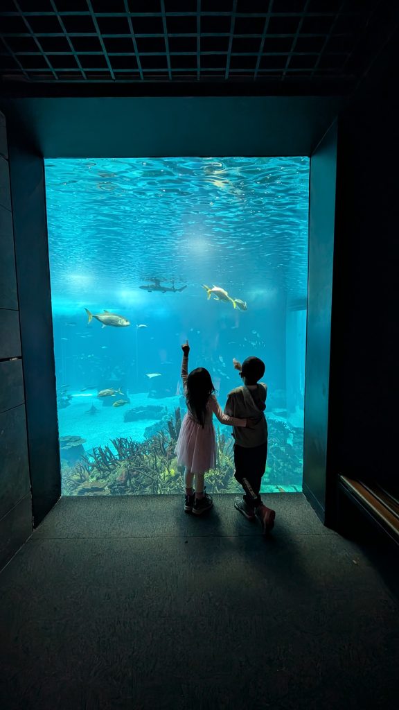 Two children stand before a large aquarium window, pointing at fish swimming inside.